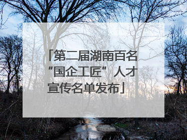 第二届湖南百名“国企工匠”人才宣传名单发布