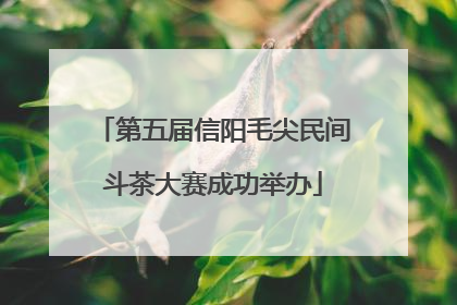 第五届信阳毛尖民间斗茶大赛成功举办