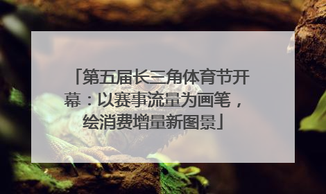 第五届长三角体育节开幕：以赛事流量为画笔，绘消费增量新图景