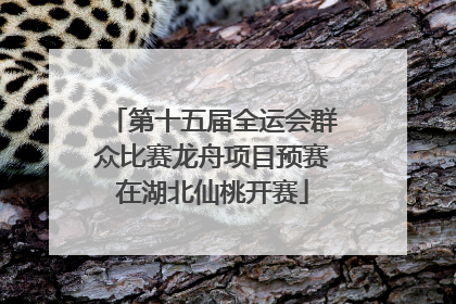 第十五届全运会群众比赛龙舟项目预赛在湖北仙桃开赛