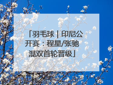 羽毛球｜印尼公开赛：程星/张驰混双首轮晋级