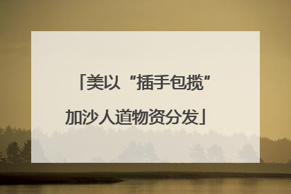 美以“插手包揽”加沙人道物资分发