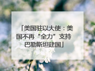 美国驻以大使：美国不再“全力”支持巴勒斯坦建国