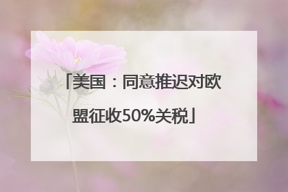 美国：同意推迟对欧盟征收50%关税