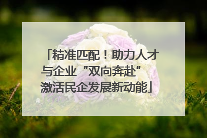 精准匹配！助力人才与企业“双向奔赴” 激活民企发展新动能