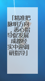精准把脉明方向，悉心指导促发展 成都经实中迎调研指导