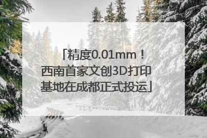 精度0.01mm！西南首家文创3D打印基地在成都正式投运