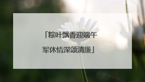 粽叶飘香迎端午 军休情深颂清廉
