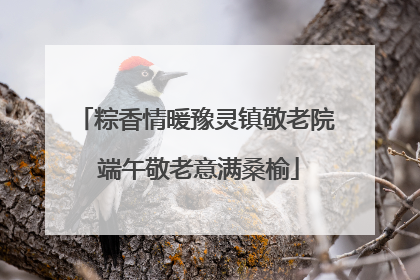粽香情暖豫灵镇敬老院 端午敬老意满桑榆