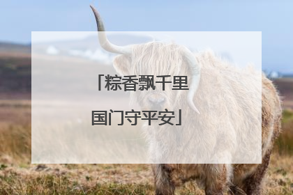 粽香飘千里 国门守平安