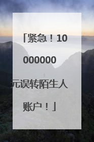 紧急！10000000元误转陌生人账户！