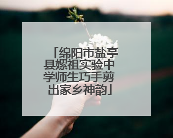 绵阳市盐亭县嫘祖实验中学师生巧手剪出家乡神韵