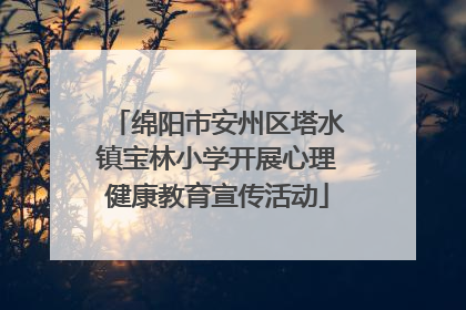 绵阳市安州区塔水镇宝林小学开展心理健康教育宣传活动