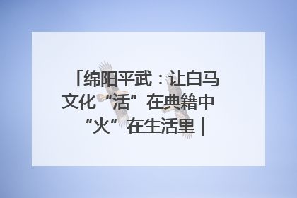 绵阳平武：让白马文化“活”在典籍中 “火”在生活里｜新闻发布最前线
