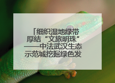 细织湿地绿带 厚结“文旅明珠”——中法武汉生态示范城挖掘绿色发展新动能