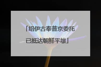 绍伊古奉普京委托已抵达朝鲜平壤