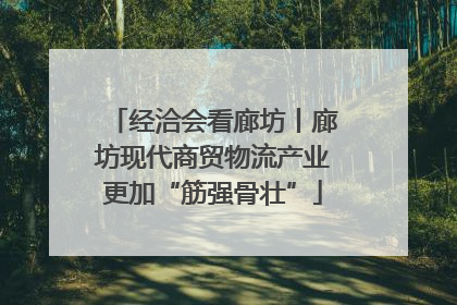 经洽会看廊坊丨廊坊现代商贸物流产业更加“筋强骨壮”