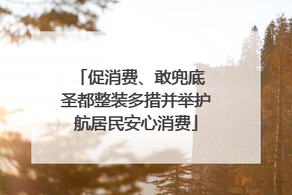 促消费、敢兜底 圣都整装多措并举护航居民安心消费