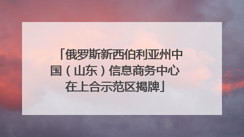 俄罗斯新西伯利亚州中国（山东）信息商务中心在上合示范区揭牌
