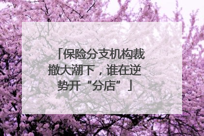 保险分支机构裁撤大潮下，谁在逆势开“分店”