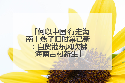 何以中国·行走海南丨燕子归时巢已新：自贸港东风吹拂 海南古村新生