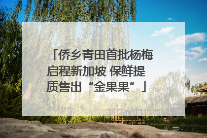 侨乡青田首批杨梅启程新加坡 保鲜提质售出“金果果”
