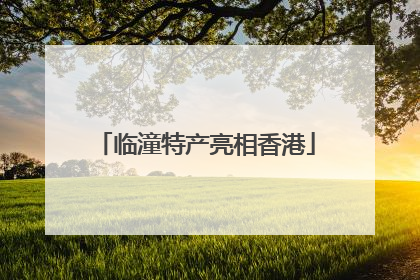 临潼特产亮相香港
