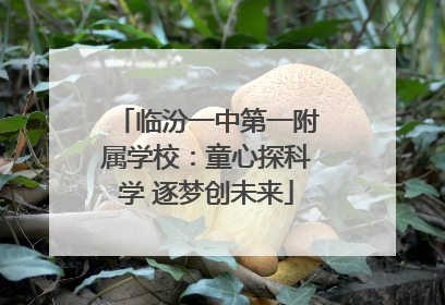 临汾一中第一附属学校：童心探科学 逐梦创未来