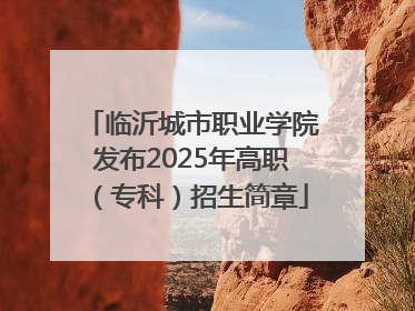 临沂城市职业学院发布2025年高职（专科）招生简章
