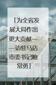 为全省发展大局作出更大贡献——访驻马店市委书记鲍常勇