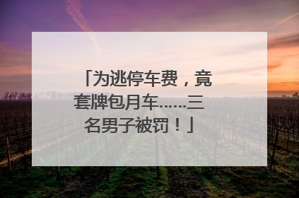 为逃停车费，竟套牌包月车……三名男子被罚！