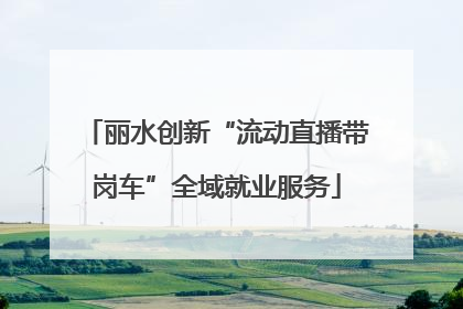 丽水创新“流动直播带岗车”全域就业服务