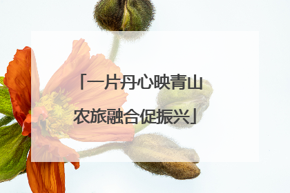 一片丹心映青山 农旅融合促振兴