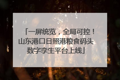 一屏统览，全局可控！山东港口日照港粮食码头数字孪生平台上线