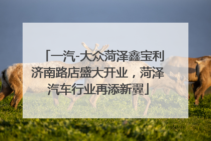 一汽-大众菏泽鑫宝利济南路店盛大开业，菏泽汽车行业再添新翼