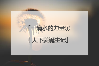 一滴水的力量①｜大下姜诞生记