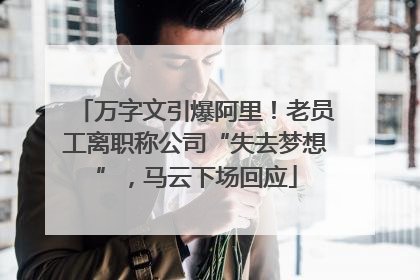 万字文引爆阿里！老员工离职称公司“失去梦想”，马云下场回应