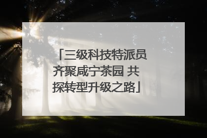 三级科技特派员齐聚咸宁茶园 共探转型升级之路