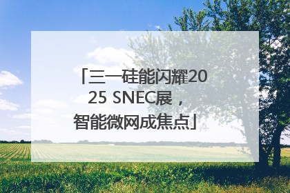 三一硅能闪耀2025 SNEC展，智能微网成焦点