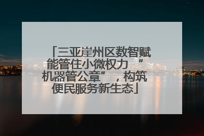 三亚崖州区数智赋能管住小微权力 “机器管公章”，构筑便民服务新生态