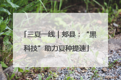 三夏一线｜郏县：“黑科技”助力夏种提速