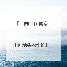 三夏时节 南京田间地头农作忙