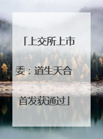 上交所上市委：道生天合首发获通过