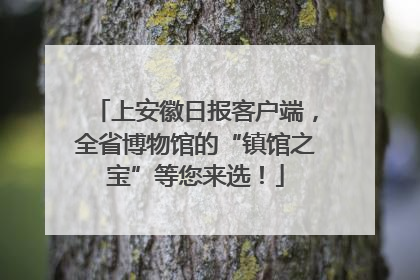 上安徽日报客户端，全省博物馆的“镇馆之宝”等您来选！