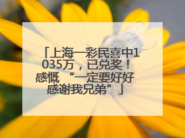 上海一彩民喜中1035万，已兑奖！感慨 “一定要好好感谢我兄弟”