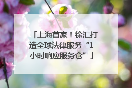 上海首家！徐汇打造全球法律服务“1小时响应服务仓”