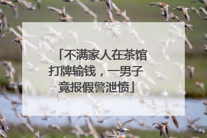 不满家人在茶馆打牌输钱，一男子竟报假警泄愤