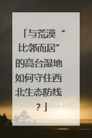 与荒漠“比邻而居”的高台湿地如何守住西北生态防线？
