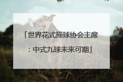 世界花式撞球协会主席：中式九球未来可期