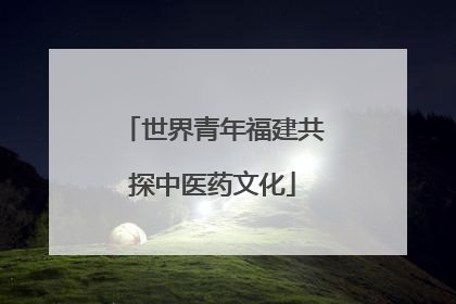 世界青年福建共探中医药文化
